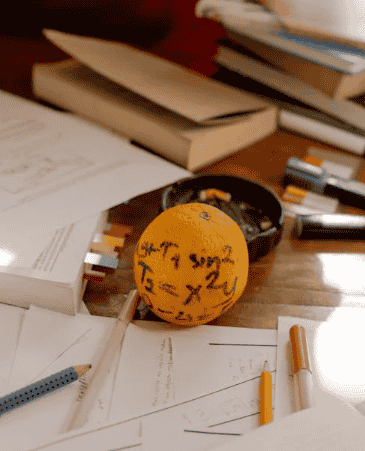Student Entrepreneurship Ideas in Bangladesh