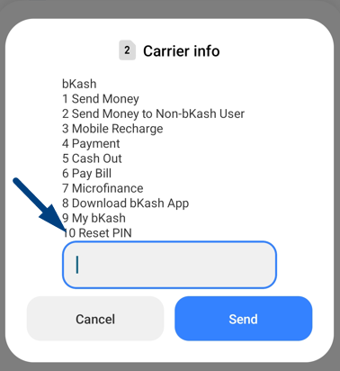 Bkash PIN Reset